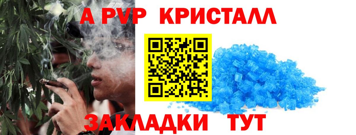 Альфа ПВП СК КРИС Губкинский