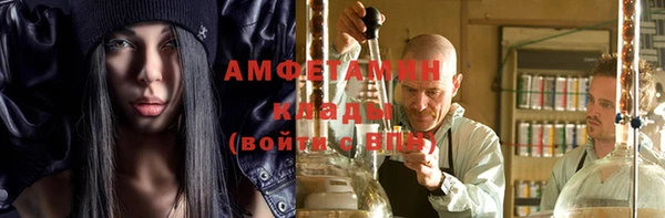 прущие грибы Гусев