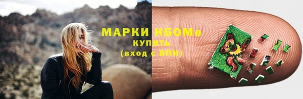 прущие грибы Гусев