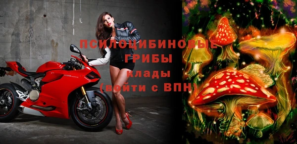 мет Горнозаводск