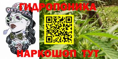 кокс Малгобек