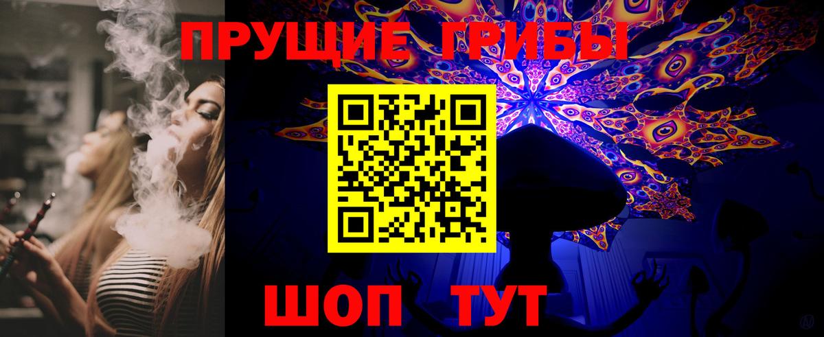 Галлюциногенные грибы Psilocybine cubensis Губкинский