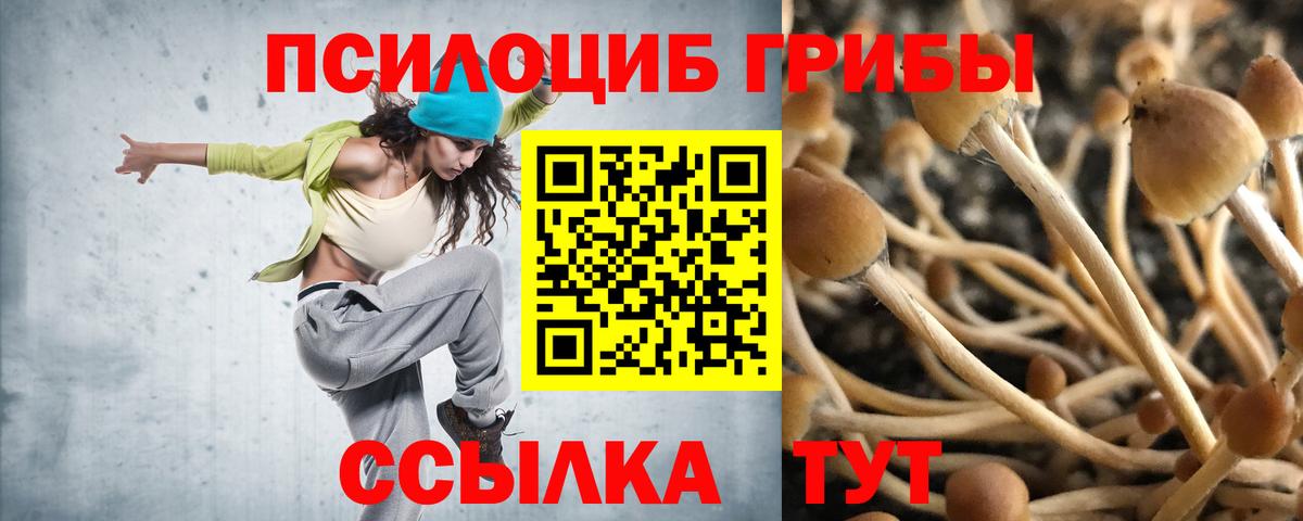 Губкинский  Псилоцибиновые грибы MAGIC MUSHROOMS  Вход с VPN 