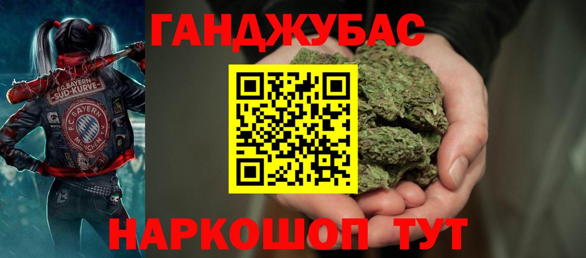 Конопля сатива Губкинский
